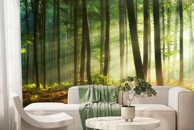 Fototapeta: Poranek w mglistym lesie naturalny krajobraz