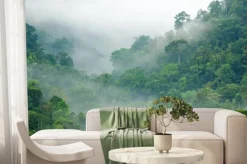 Fototapeta: Poranna gęsta mgła w lesie deszczowym