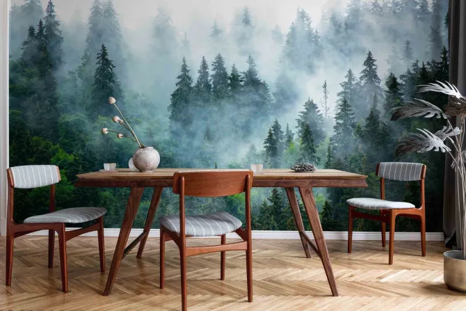 Fototapeta: Poranna mgła nad gęstym lasem