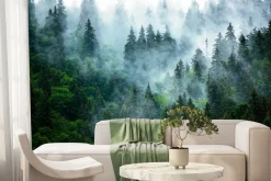 Fototapeta: Poranna mgła nad gęstym lasem
