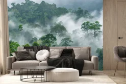 Fototapeta: Poranna mgła w lesie deszczowym w afryce