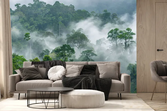 Fototapeta: Poranna mgła w lesie deszczowym w afryce