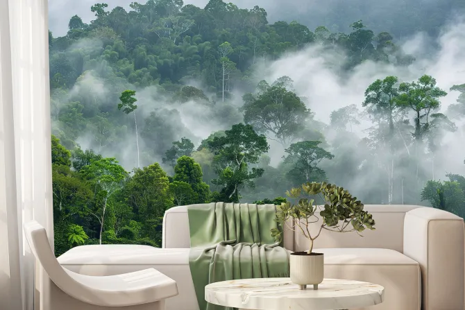 Fototapeta: Poranna mgła w lesie deszczowym w afryce