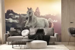 Fototapeta: Portret białego konia arabskiego na łące