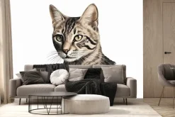 Fototapeta: Portret dachowego kota