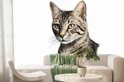 Fototapeta: Portret dachowego kota