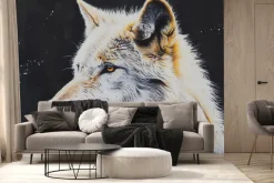 Fototapeta: Portret dorosłego wilka na ciemnym tle