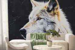 Fototapeta: Portret dorosłego wilka na ciemnym tle