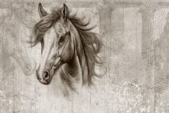 Fototapeta: Portret głowy konia na ścianie