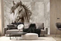 Fototapeta: Portret głowy konia na ścianie