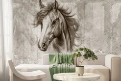 Fototapeta: Portret głowy konia na ścianie
