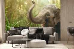 Fototapeta: Portret młodego słonia w lesie deszczowym