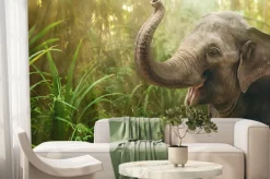 Fototapeta: Portret młodego słonia w lesie deszczowym