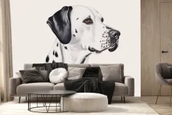 Fototapeta: Portret psa dalmatyńczyk
