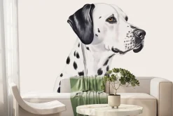 Fototapeta: Portret psa dalmatyńczyk