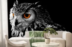 Fototapeta: Portret sowy na ciemnym tle