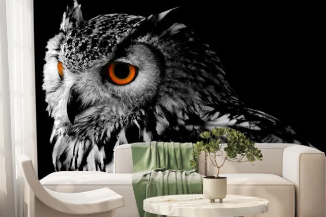 Fototapeta: Portret sowy na ciemnym tle