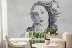 Fototapeta: Portret venus w stylu vintage