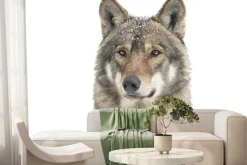 Fototapeta: Portret wilka w zimowej scenerii