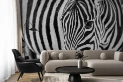 Fototapeta: Portret zebry z bliska