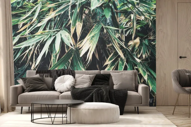 Fototapeta: Prawdziwe liście bambusa