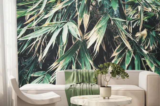 Fototapeta: Prawdziwe liście bambusa