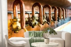 Fototapeta: Produkcja piwa