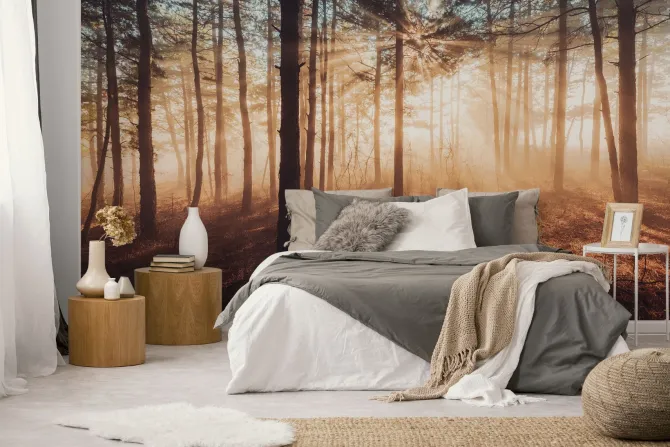 Fototapeta: Promienie słońca przebijające się przez mglisty las