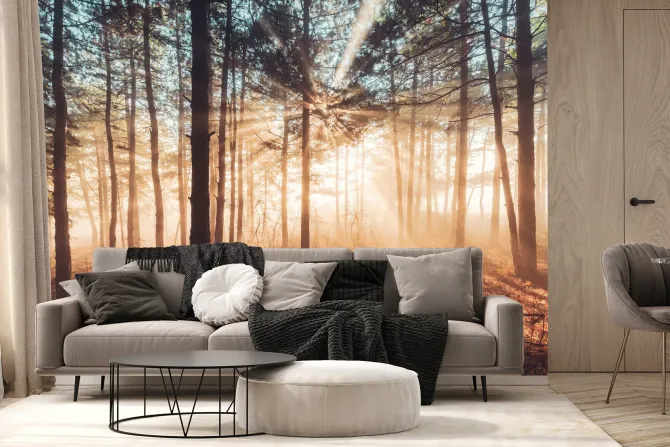 Fototapeta: Promienie słońca przebijające się przez mglisty las