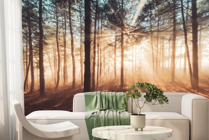 Fototapeta: Promienie słońca przebijające się przez mglisty las