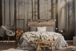 Fototapeta: Promienie słońca przenikające przez mglisty las