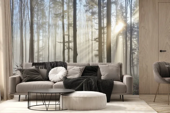 Fototapeta: Promienie słońca przenikające przez mglisty las