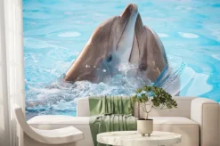 Fototapeta: Przytulające się delfiny