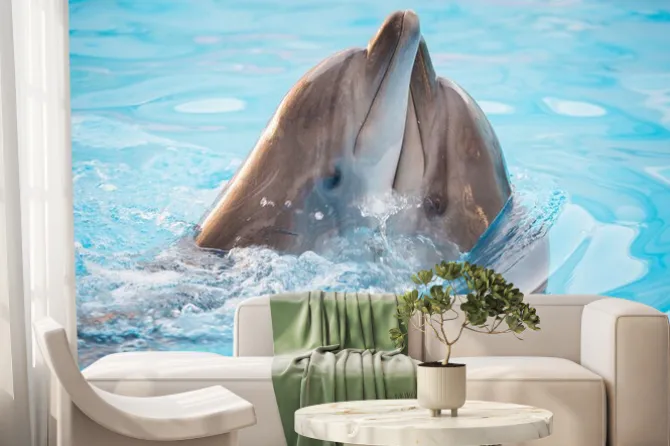 Fototapeta: Przytulające się delfiny