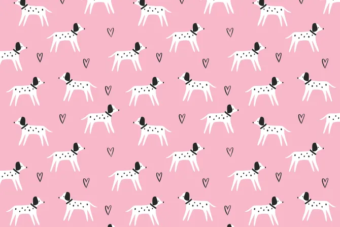 Fototapeta: Psy dalmatyńczyki na różowym tle