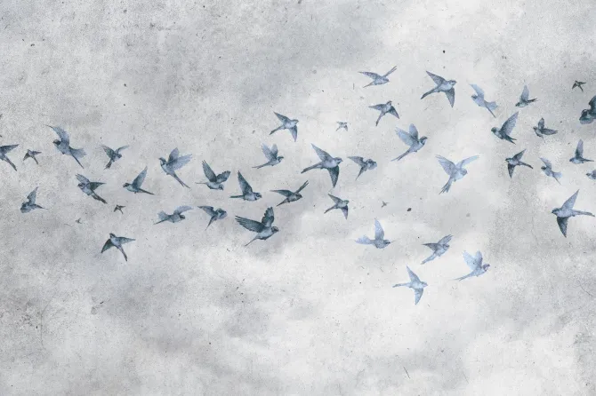 Fototapeta: Ptaki na betonowym tle w stylu loft