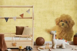 Fototapeta: Pudel na teksturowym tle vintage