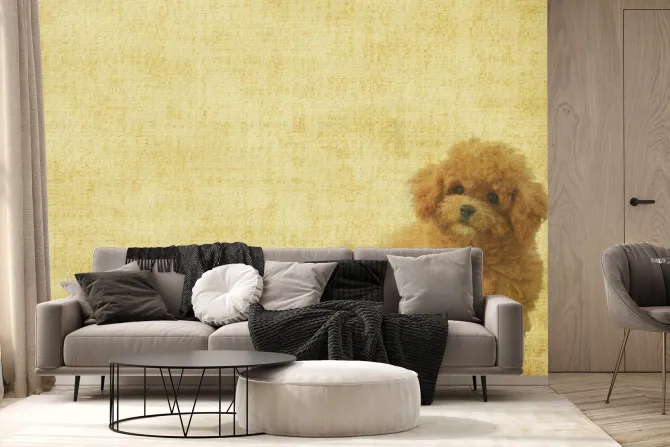 Fototapeta: Pudel na teksturowym tle vintage