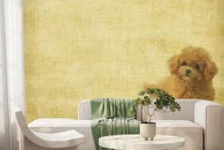 Fototapeta: Pudel na teksturowym tle vintage