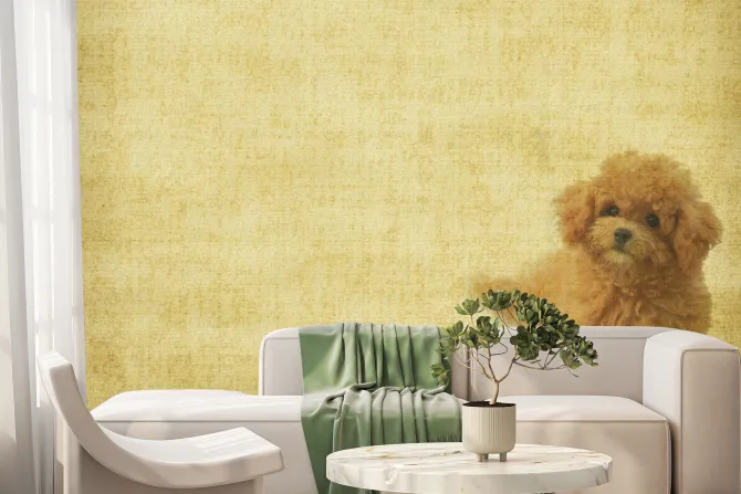 Fototapeta: Pudel na teksturowym tle vintage