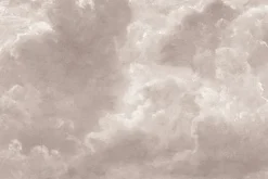 Fototapeta: Puszyste chmury w monochromatycznych kolorach