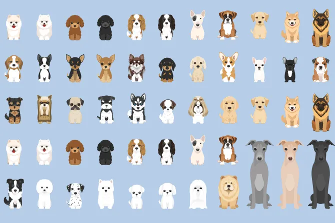 Fototapeta: Rasowe psy na niebieskim tle