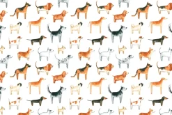 Fototapeta: Rasowe psy na białym tle