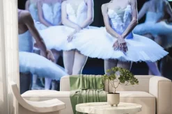 Fototapeta: Ręce baletnic. ręce baletnic. balet stwierdzenie. wielkie baletnic.