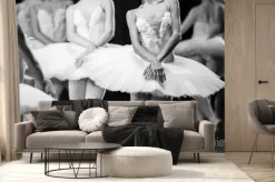 Fototapeta: Ręce baletnic. ręce baletnic. balet stwierdzenie. wielkie baletnic.