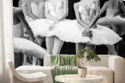 Fototapeta: Ręce baletnic. ręce baletnic. balet stwierdzenie. wielkie baletnic.