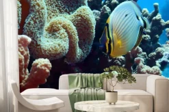 Fototapeta: Redfin butterflyfish (chaetodon lunuqlatus)