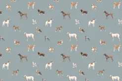 Fototapeta: Różnorodne psy na niebieskim tle