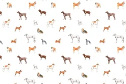 Fototapeta: Różnorodne rasowe psy na białym tle