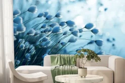 Fototapeta: Roślina bawełna w odcieniu niebieskim